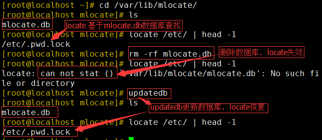 Linux File Search Tools: Locate vs Find