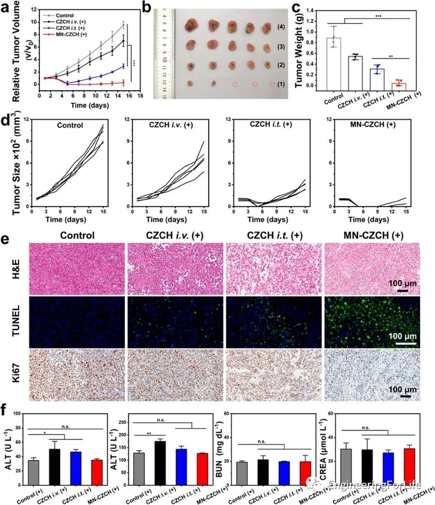 Self-Oxygenating & Glutathione-Depleting Microneedle Patch for Photodynamic Therapy of Tumors