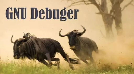 Commonly Used GDB Commands Overview
