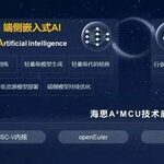 Lightweight Embedded AI by HiSilicon Drives Real-time MCU Intelligence
