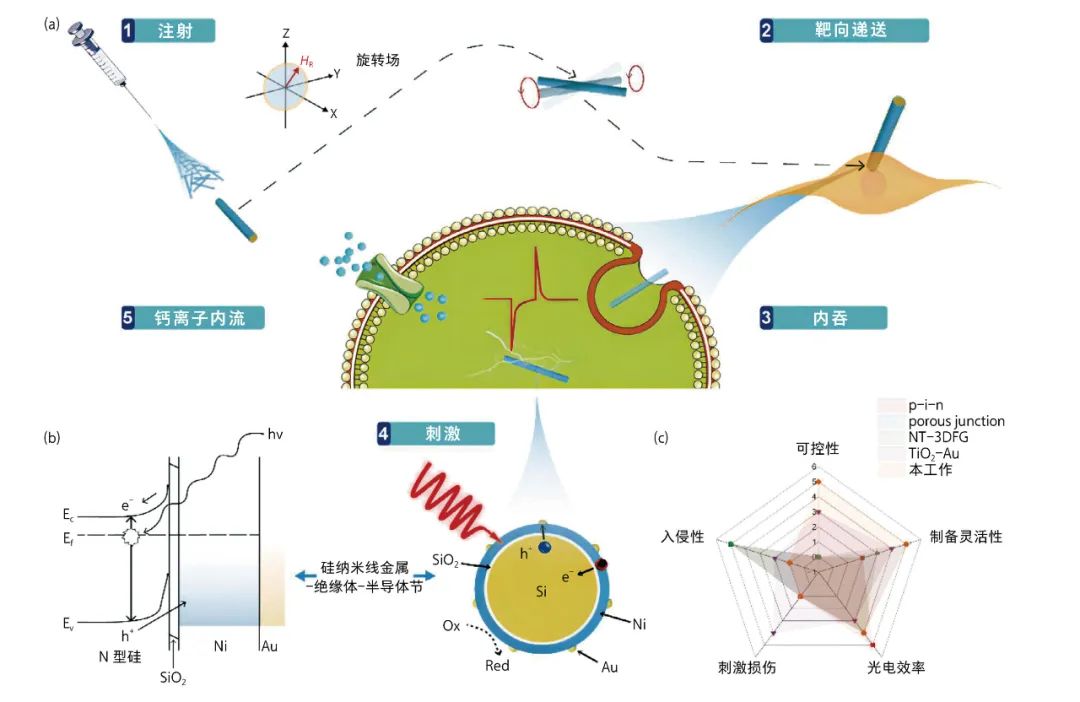 Micro-Nano Robots: New Technological Attempts in Treating Neurological Diseases