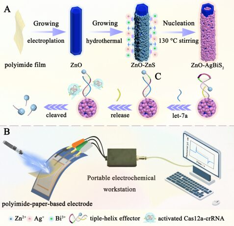 Near-Infrared-Induced Photothermal-Pyroelectric Synergy for Enhanced Sensing Performance