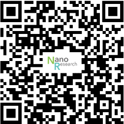 In Situ Electron Microscopy Study of Dynamic Structural Changes in CuZn Bimetallic Nanoparticles