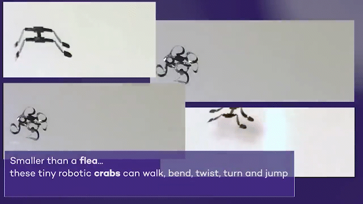 Micro Robots: The Cutting-Edge Technology