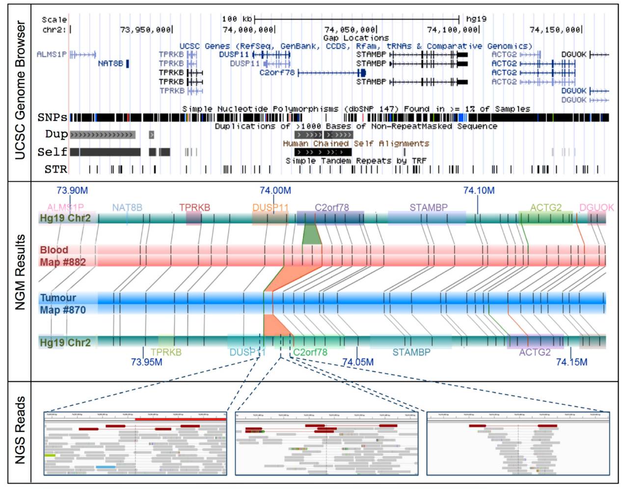 Cutting-Edge Sequencing Technologies: A Detailed Introduction to Single-Molecule Optical Mapping