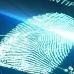 Fingerprint Recognition System Using MCU