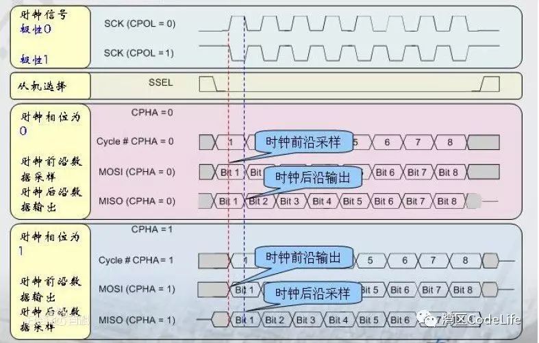 Basics of SPI Bus
