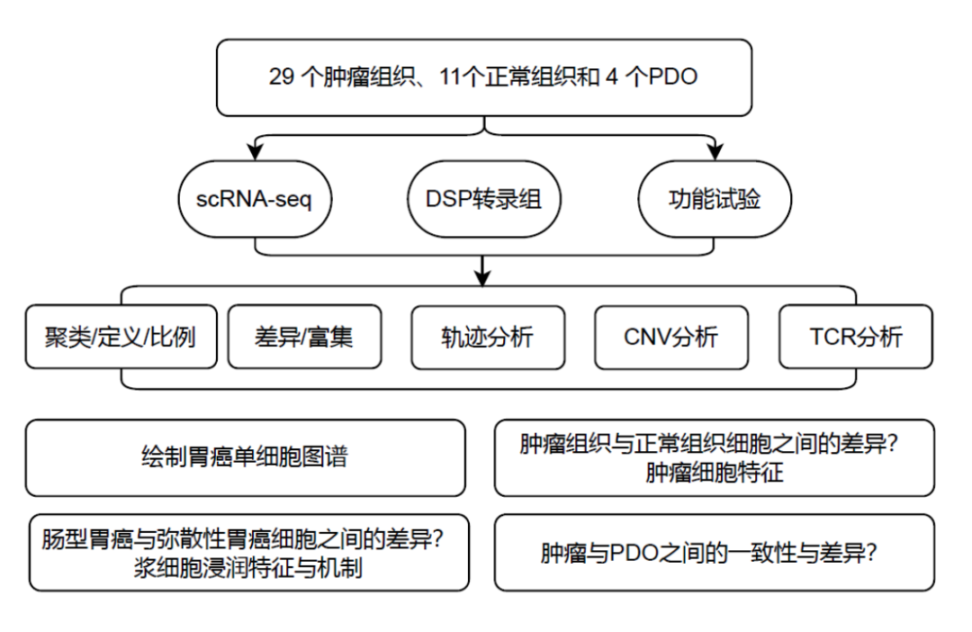 Exploring GeoMx DSP Applications in Cancer Research