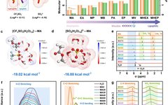 Salt Anion Amphiphilicity-Activated Electrolyte Cosolvent Selection Strategy for Durable Zn Metal Anode