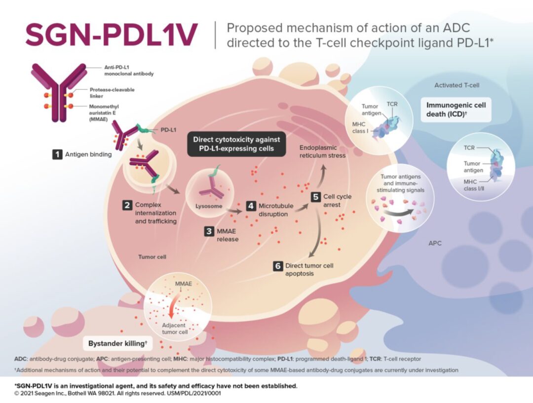 ADC Technology Report: Prospects for Next-Generation ADC Development