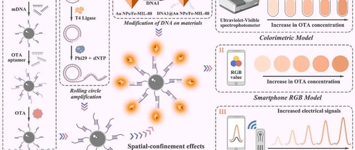 Smartphone-Based Dual-Mode Aptasensor for Ochratoxin A Detection