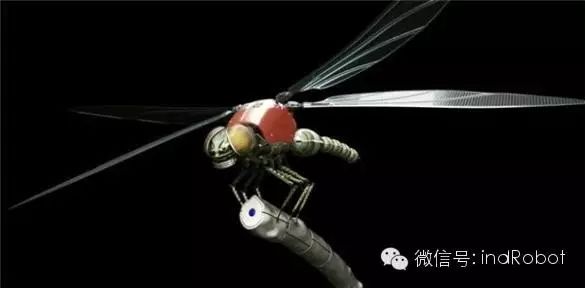 Exploring Beautiful and Adorable Bionic Robots
