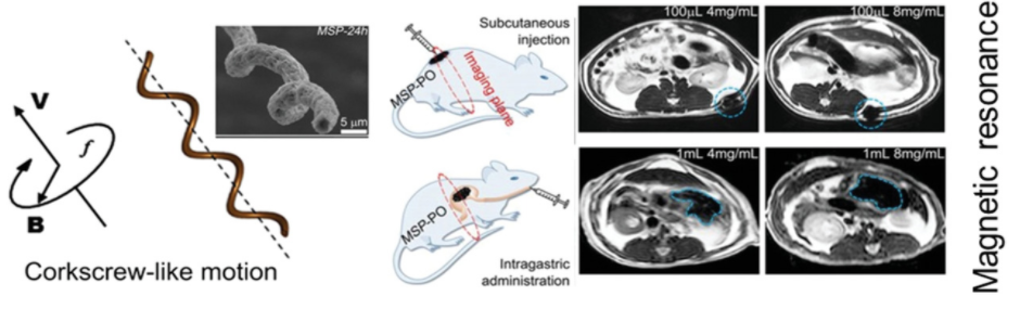 Review: Medical Micro/Nanorobots in Precision Medicine