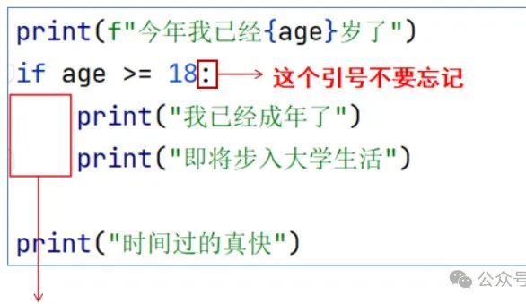 2025 Python Beginner Basics Summary (Save Quickly)