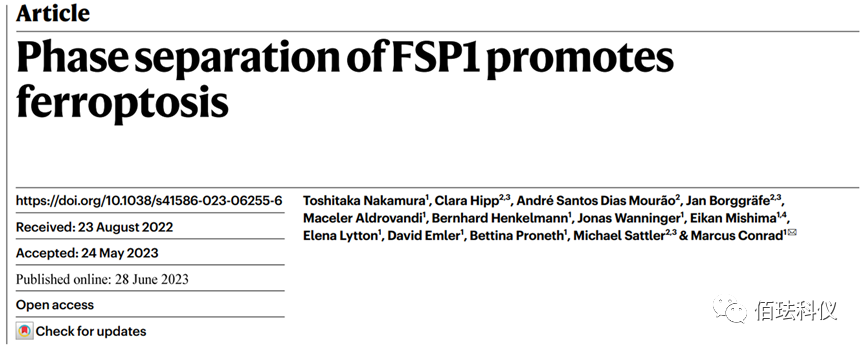 Application of Nanolive in Ferroptosis Research