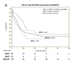 Cladribine Induction Therapy Improves Prognosis in IDH2 Mutant NK-AML Patients