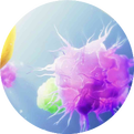 Mechanisms of ADC Resistance and Countermeasures