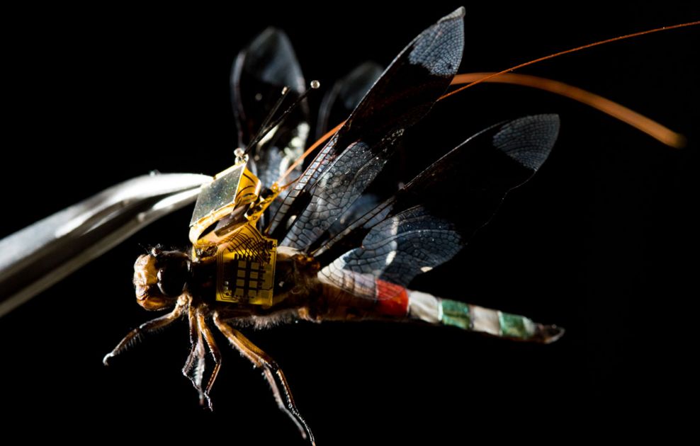 Micro Robots and Their Capabilities