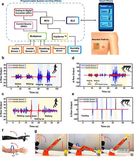 Integrated Multifunctional Wearable Platform with Graphene and Liquid Metal