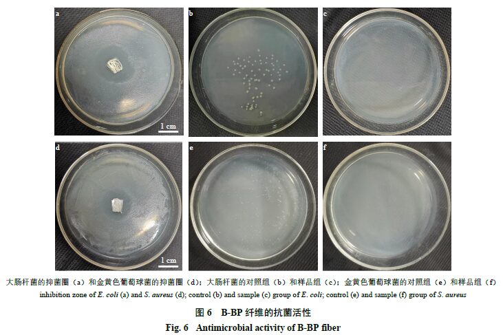 Optimization of Wet Spinning Process for Bletilla Striata Polysaccharide/PVA Fibers Using Box-Behnken Response Surface Method