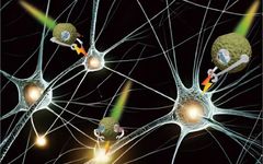 Micro-Nano Robots: New Technological Attempts in Treating Neurological Diseases