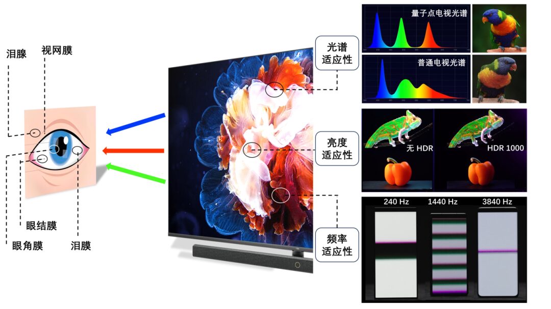 Health Display: From Concept to Technical Requirements