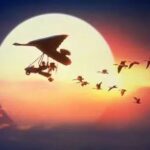 Why Eastern Airlines Chose MongoDB for Tech Selection