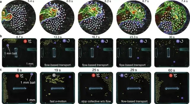 Reconfigurable Microrobotic Collectives Illuminate Future Medicine and Environmental Remediation