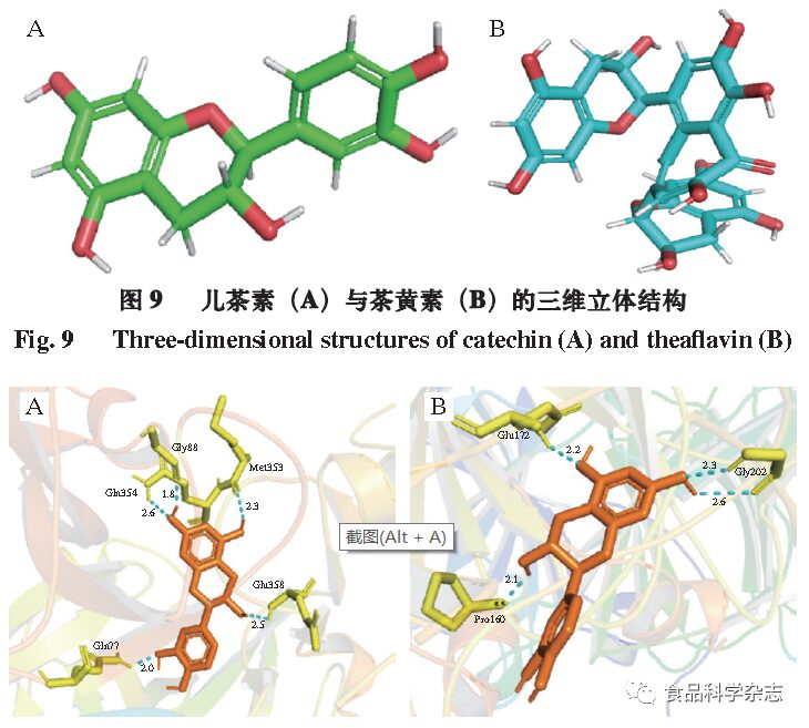 Effects Of Ultrasonic Pretreatment On Soy Protein-Isolate-Catechin Non-Covalent/Covalent Complex Structure And Function