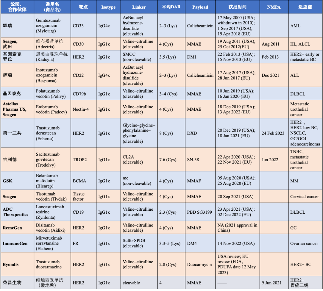 Overview of ADC Drugs Approved Worldwide