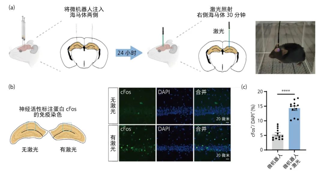 Micro-Nano Robots: New Technological Attempts in Treating Neurological Diseases