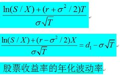 Analysis of Option Models in Liquidity Discount Application