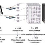 Exploring GeoMx DSP Applications in Cancer Research