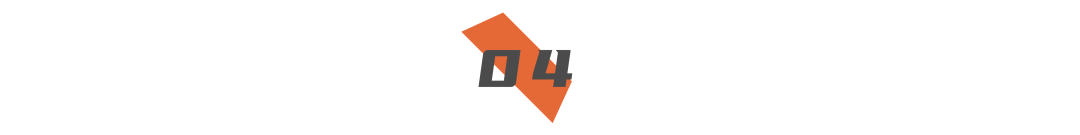 The Rise and Fall of a Domestic CPU: A Case Study