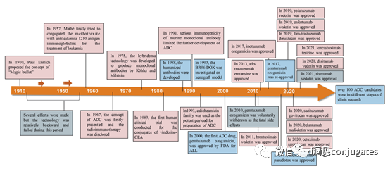 Understanding ADC: Overview, Antibody and Linker Selection