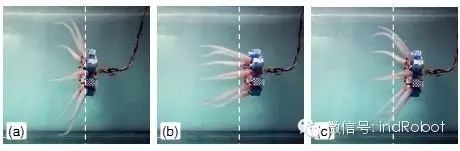 Exploring Beautiful and Adorable Bionic Robots