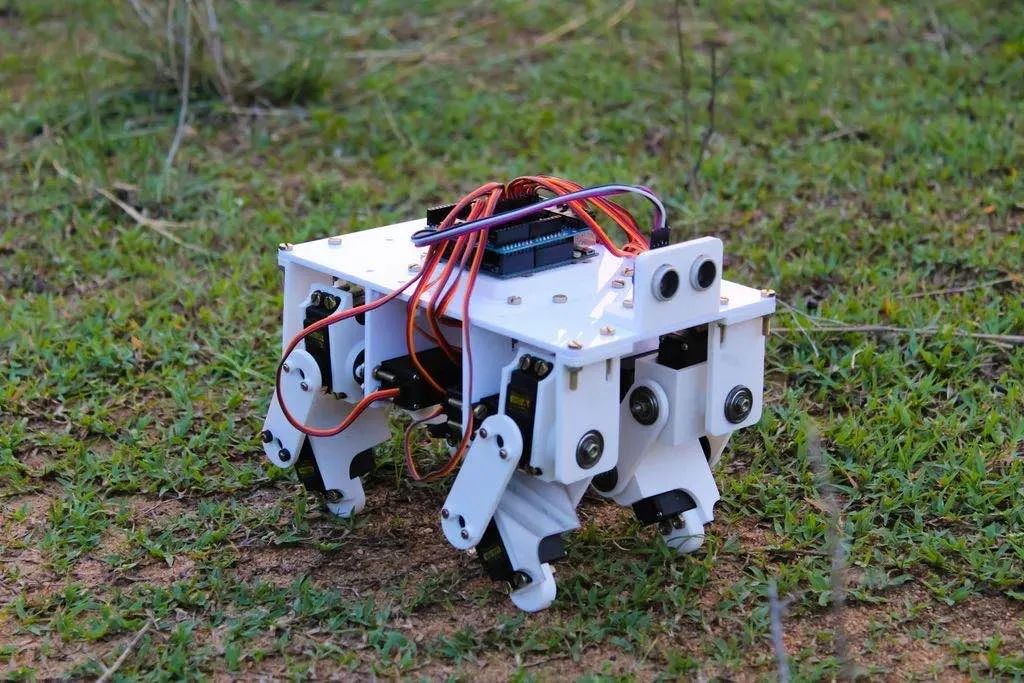 Build a Six-Legged Robot with Raspberry Pi Zero 2W and Python!