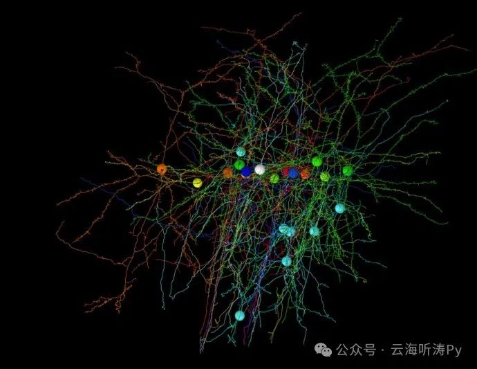 Parallel Computing and Multithreading in C++ Neural Network Models