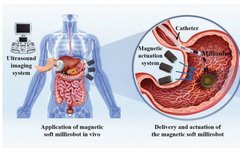Soft Magnetic Microrobots for Targeted Drug Delivery