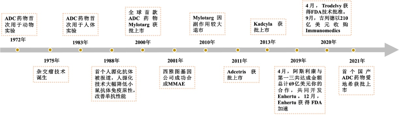 Comprehensive Overview of ADC Drug Development