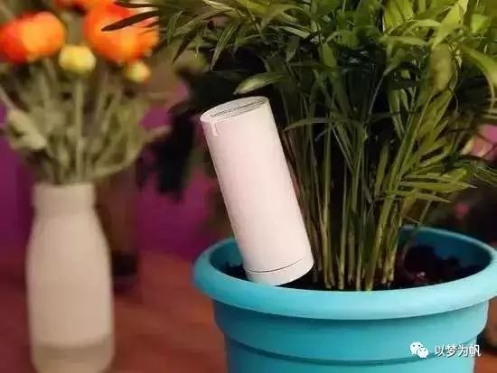 What Is the Internet of Things? Understanding with Examples