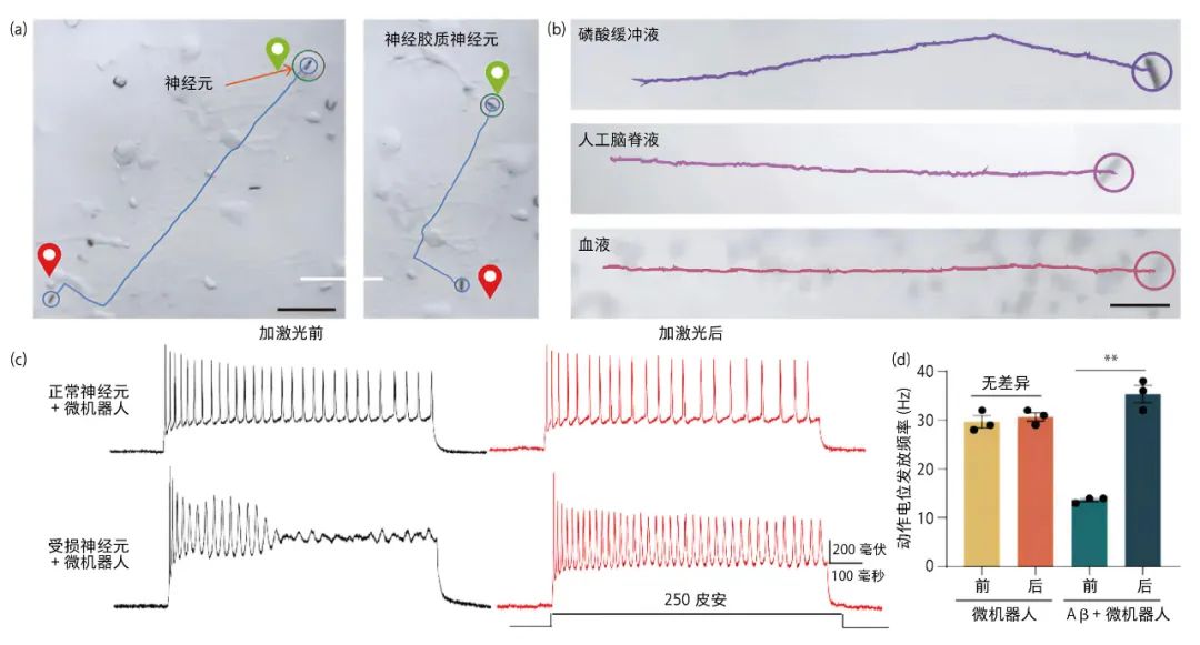 Micro-Nano Robots: New Technological Attempts in Treating Neurological Diseases