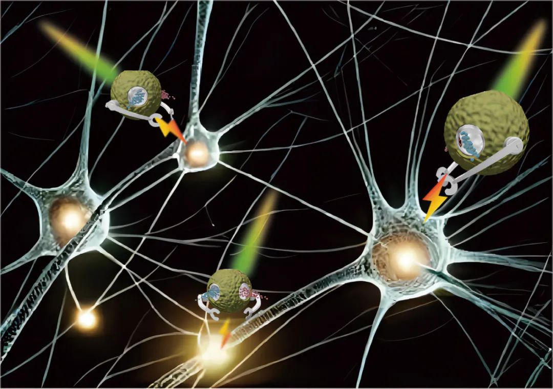 Micro-Nano Robots: New Technological Attempts in Treating Neurological Diseases