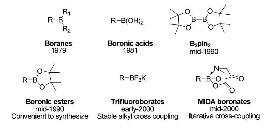 New Stable Aryl Boronic Esters on Silica Gel with Higher Suzuki-Miyaura Reaction Activity!