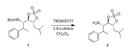Protection of Amines with Boc Group