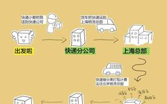 Understanding Carrier Networks Through Visuals