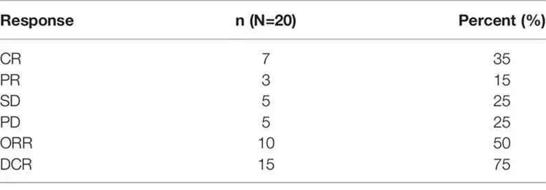 Decitabine Combined With Chemotherapy as Second-Line Treatment for R/R DLBCL