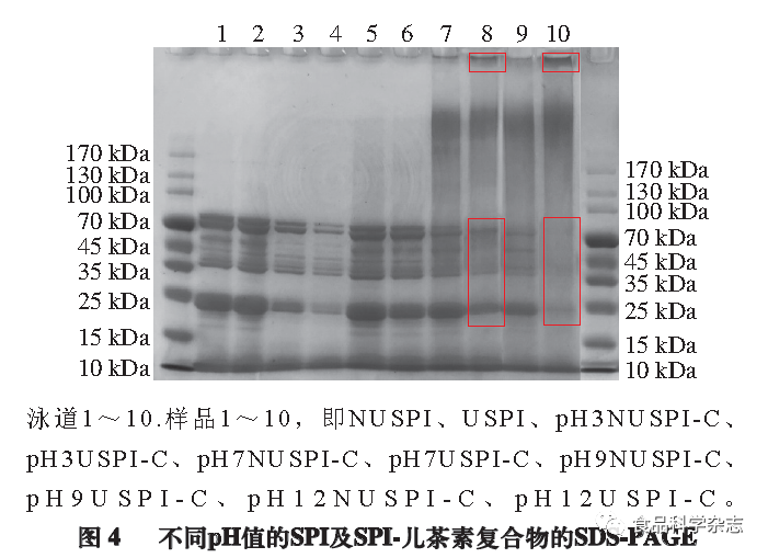 Effects Of Ultrasonic Pretreatment On Soy Protein-Isolate-Catechin Non-Covalent/Covalent Complex Structure And Function