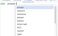 CLion Tutorial - Debugger Console & Attach to Process