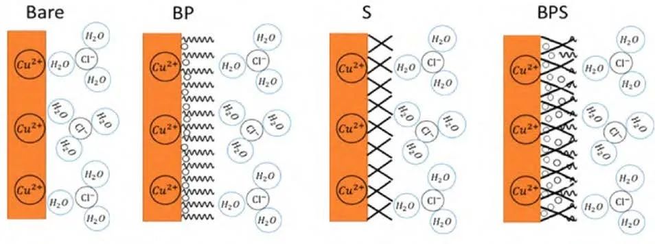 Research Progress on Preparation and Mechanism of Composite Anti-Corrosion Coatings for Metal Surfaces